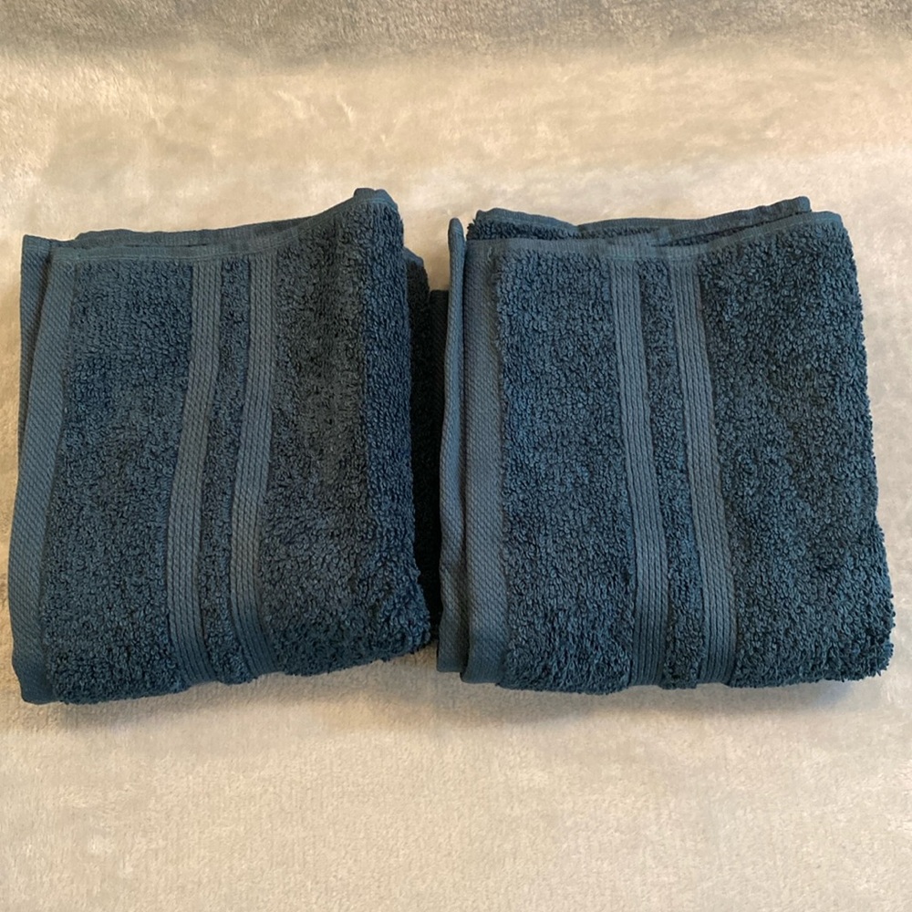Sonoma Goods For Life Hand Towels